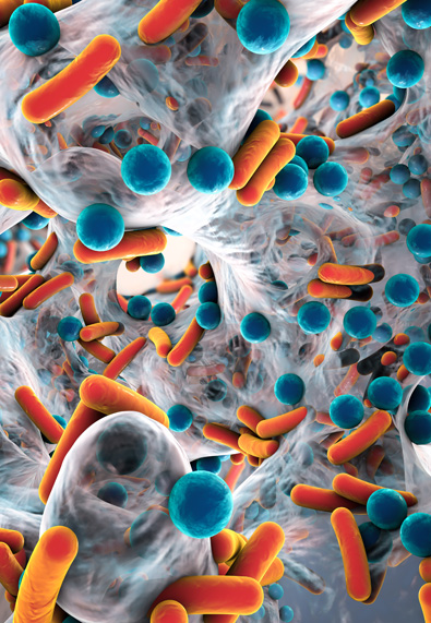 AJIC Biofilm Research