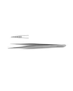Plain Splinter Forceps