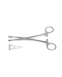 Collins Tissue Seizing Forceps