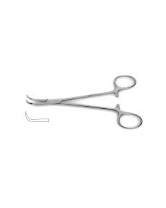 Casteneda-Mixter Clamp